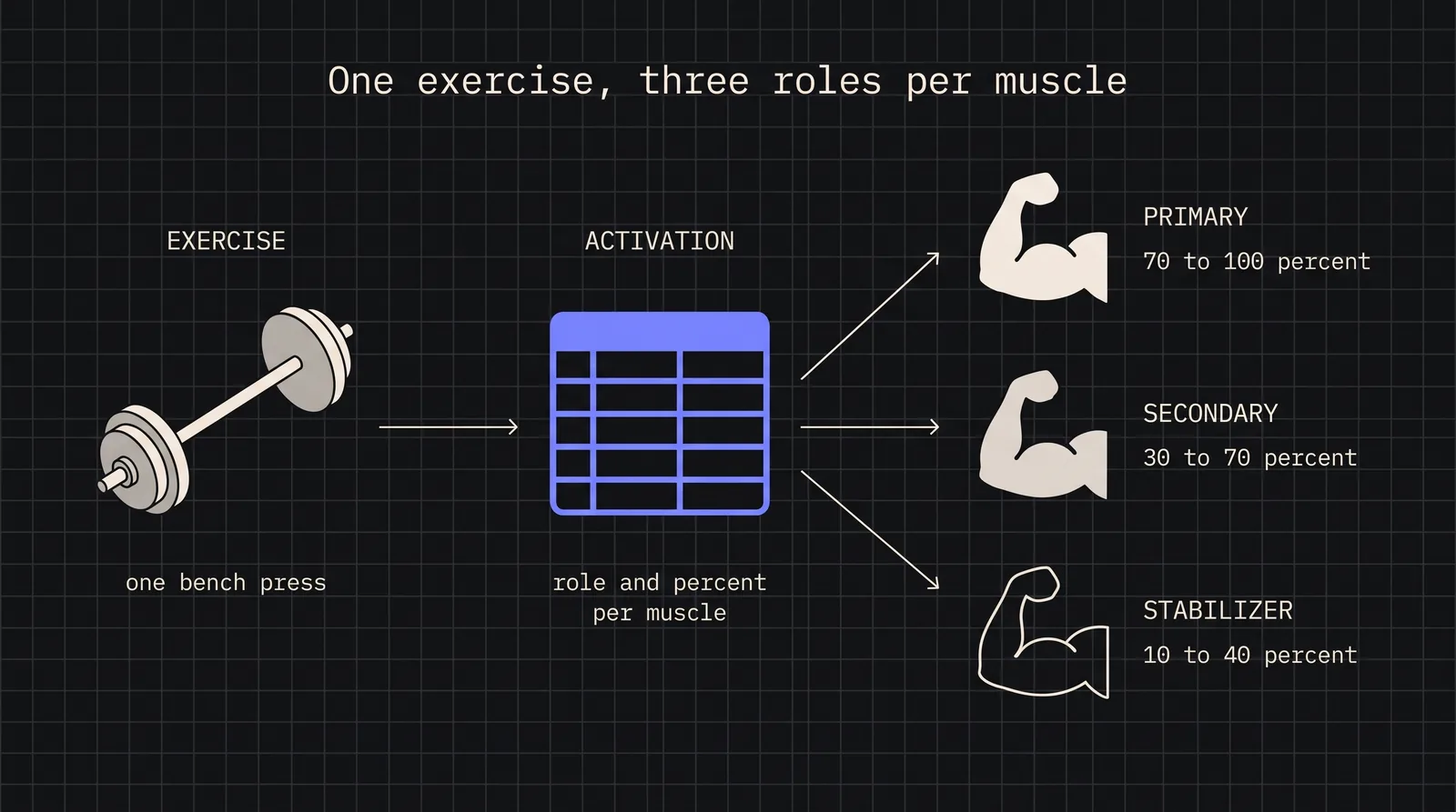 Cover image for Muscle Activation Data Modeling for Fitness Applications